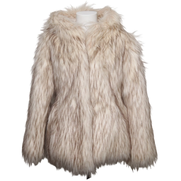 Winter Jacket