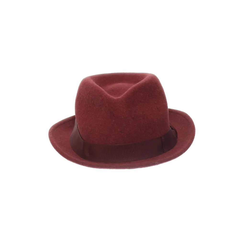 Image of Wigens Fedora hoed (Preloved)