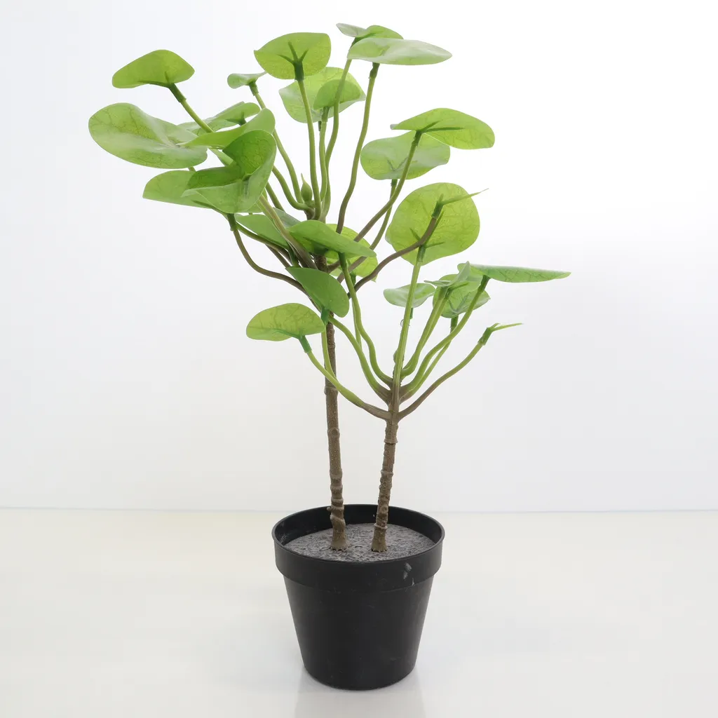 Image of IKEA Kunstplant (Preloved)