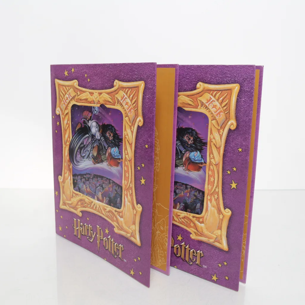 Image of Harry Potter Ordner (Preloved)