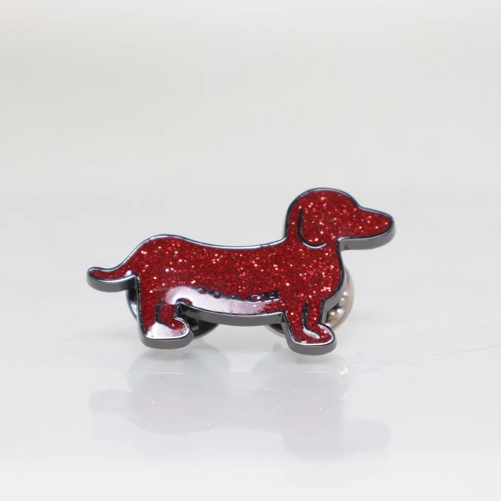Image of Coach Broche (Preloved)