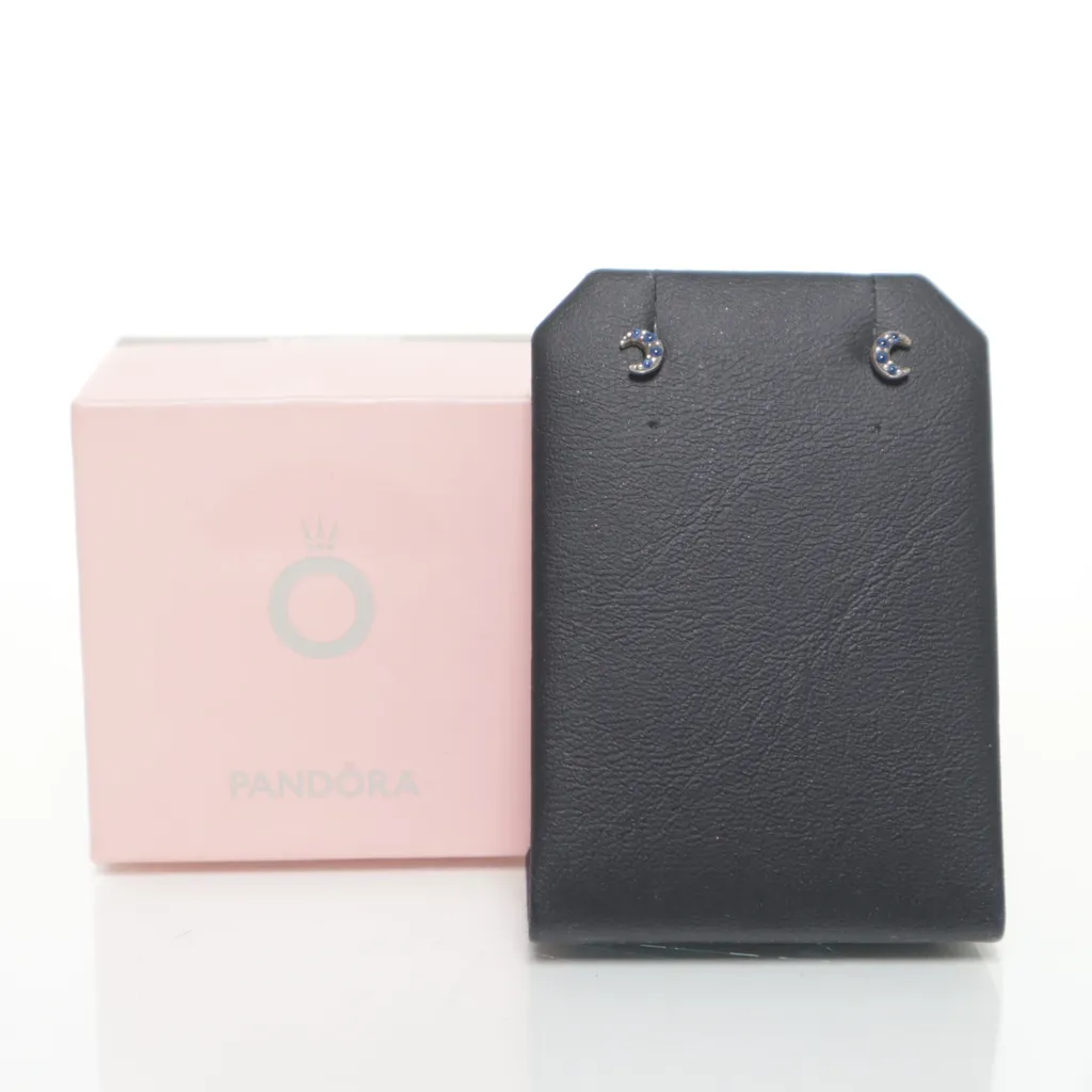 Image of Pandora Oorbellen (Preloved)