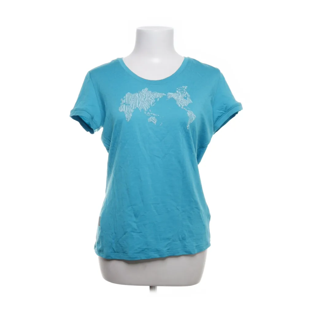 Image of Icebreaker Top (Preloved)