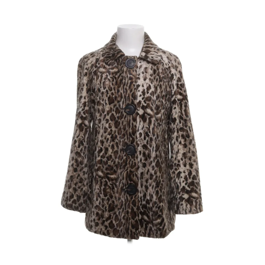 Image of Bailey Jack (Preloved)