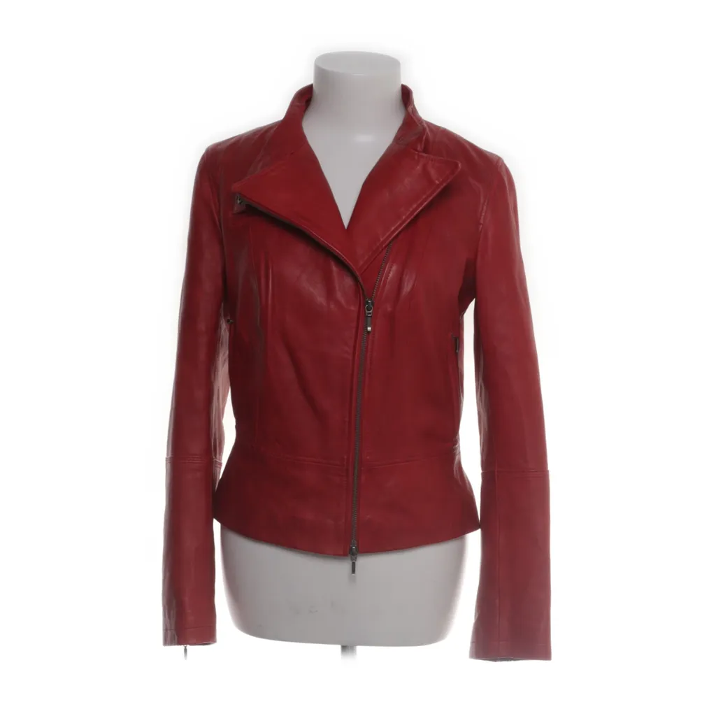 Image of Comma Bikerjack (Preloved)