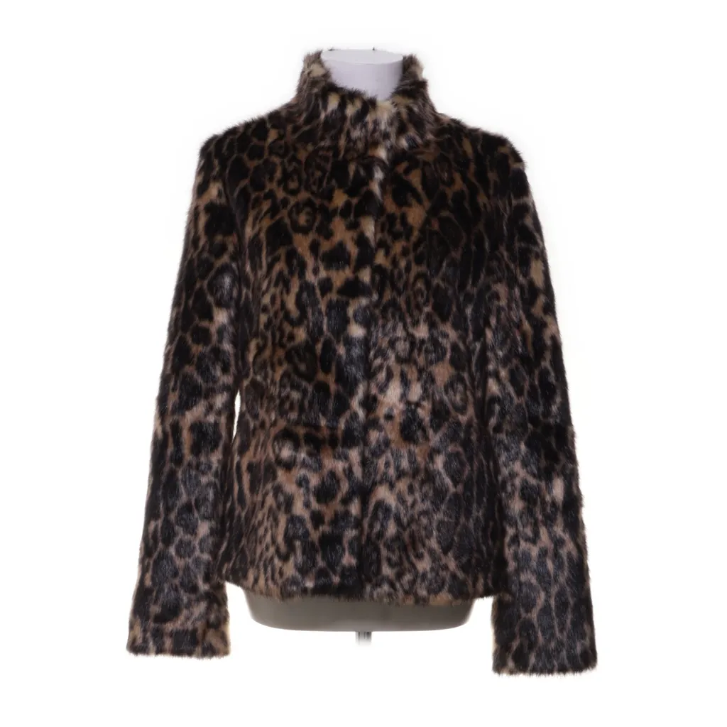 Image of Rockandblue Jack (Preloved)