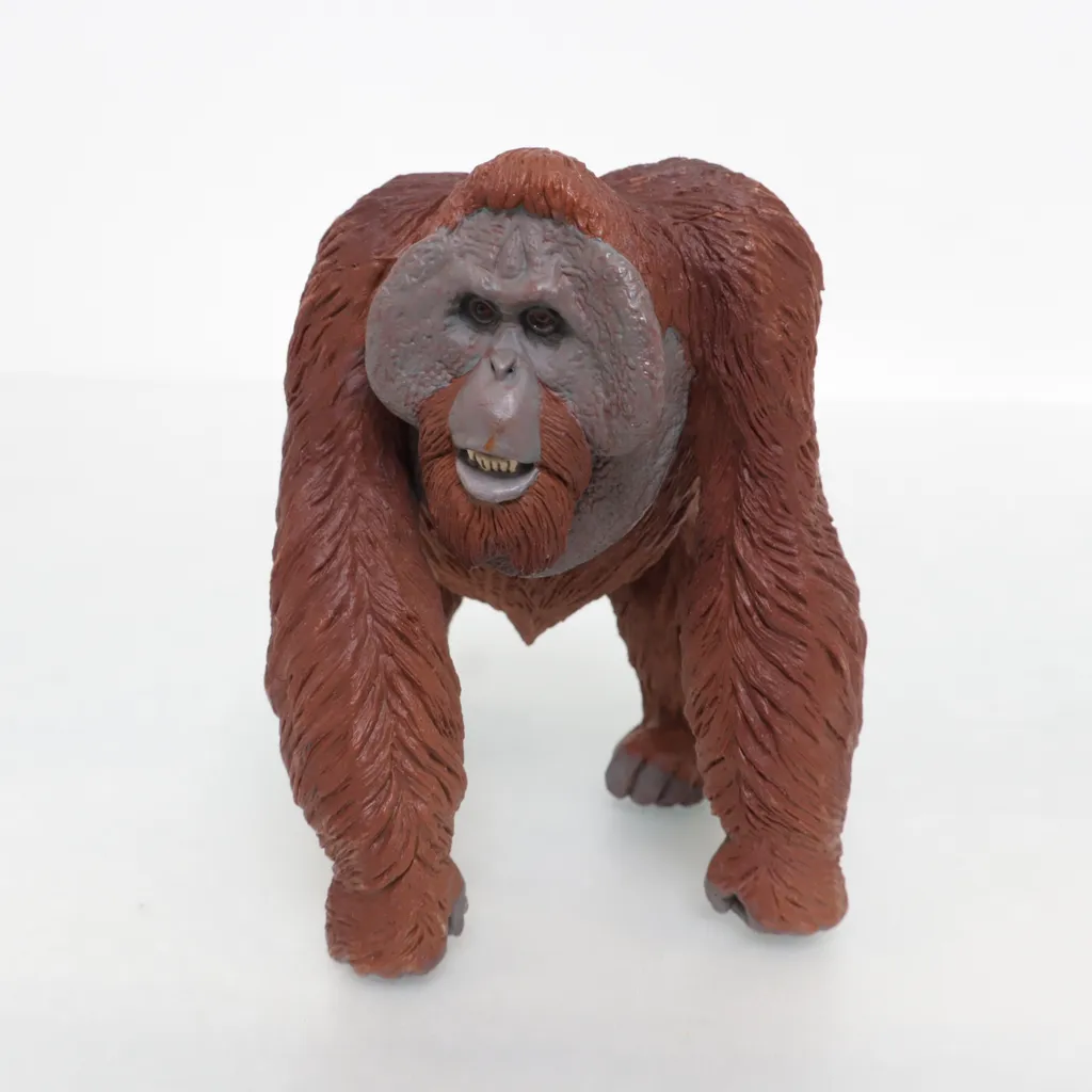 Safari Ltd - Actionfigur - Braun