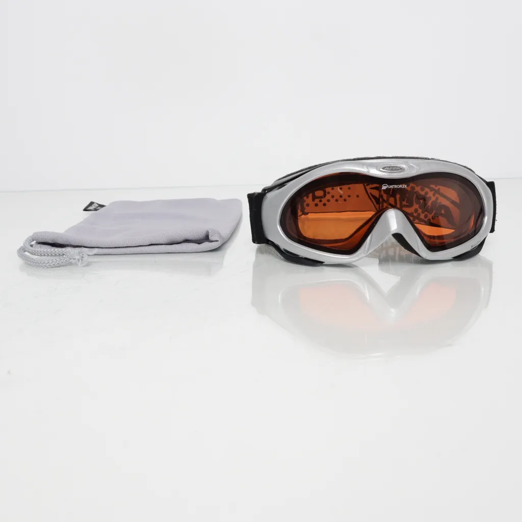 Alpina - Skibrille - Grau