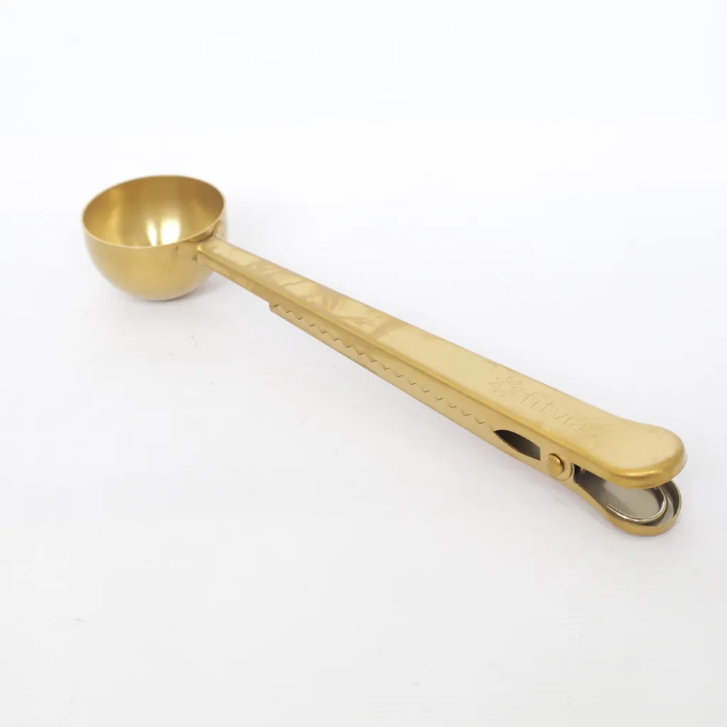 Fitvia - Eisportionierer - Gold