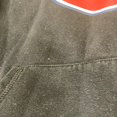 Huvtröja (Svart) från Dickies Polyester, Bomull thumbnail 5