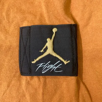 Topp (Orange) från Nike Air Jordan Bomull thumbnail 5