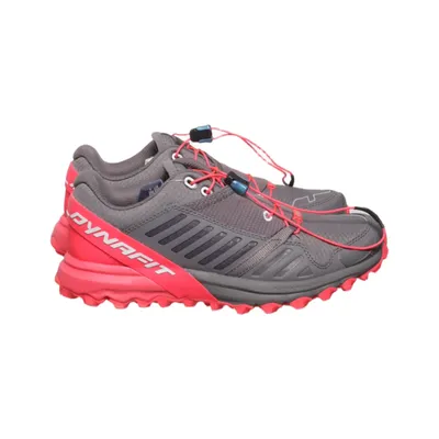 Running shoes (Alpine Pro) from Dynafit