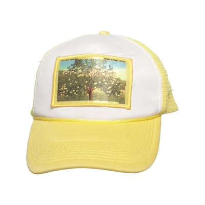 Truckerkeps (Gul, Vit, Flerfärgad) från Decky