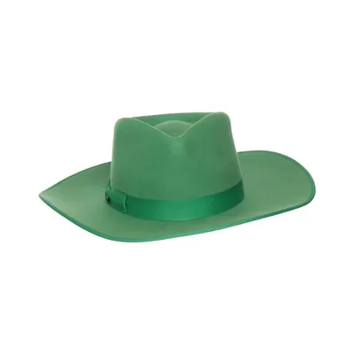 Felt hat (Green) from Lack of Color Wool