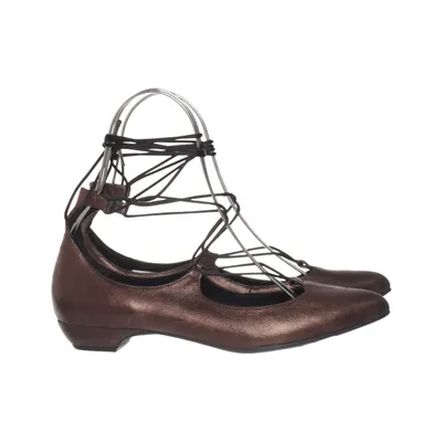 Ballerina's (Bruin) van Heine
