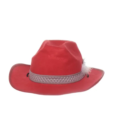 Costume accessories (Red)