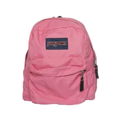 Ryggsäck (Rosa) från JanSport