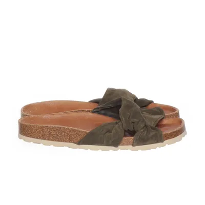 Slip-ins (Green, Multicolored) from Verbenas