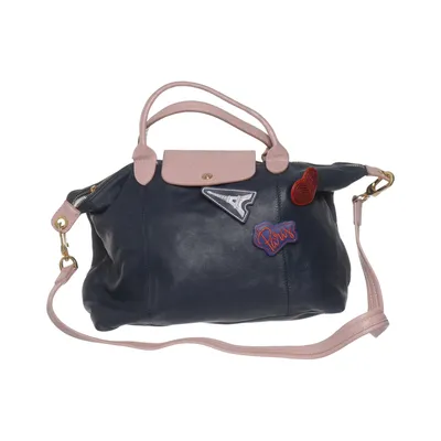 Handbag (La Pliage) from Longchamp