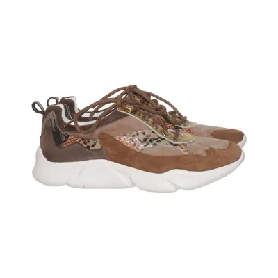 Sneakers (Brown, Multicolored) from Rapidsoul Leather