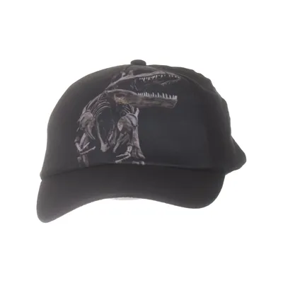 Baseball cap (Black, Multicolored) from Nature Planet Cotton, Polyester