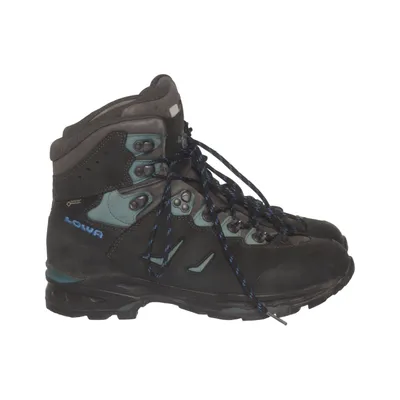 Bottes de randonnée (Camino EVO GTX) de Lowa Cuir