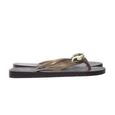 Flipflop (Flerfärgad) från Ipanema