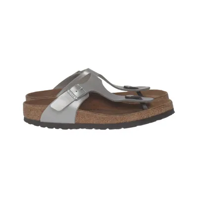 Flipflop (Silverfärgad, Brun) från Birkenstock Skinn