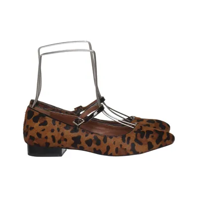 Ballerina's (Bruin, Meerkleurig) van Gioseppo