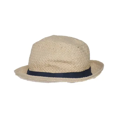 Fedora hat (Beige, Blue)
