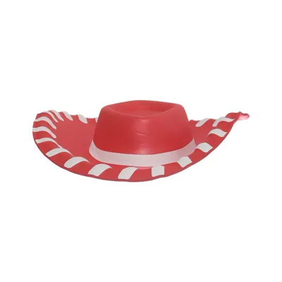 Cowboyhoed (1292DC01) van Disney Pixar