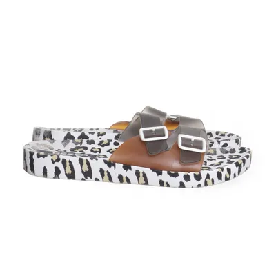 Slip-ins (Brown) from Gezer