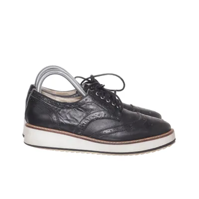Brogues (Black) from Shellys