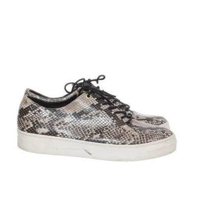 Sneakers (Brown, Multicolored) from Agnes Cecilia
