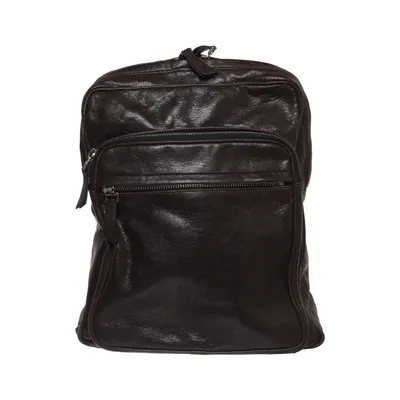Backpack (Brown) from Francesco Biasia Leather