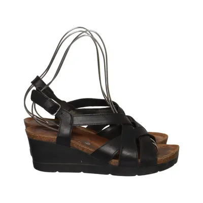 Wedges (Black) from Biostep