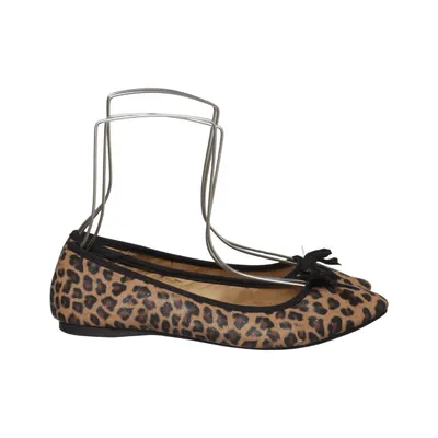 Ballet flats (Brown, Multicolored) from Today