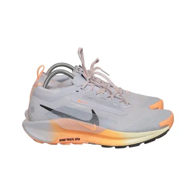 Vandresko (Pegasus Trail 4) fra Nike Trail Gore-tex