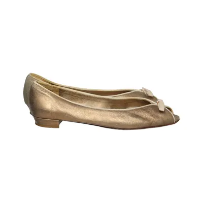 Ballet flats (Gold) from Footlight Leather