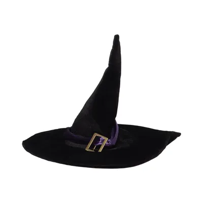 Kostuum accessoires (Zwart, Lila) van Den Goda Fen
