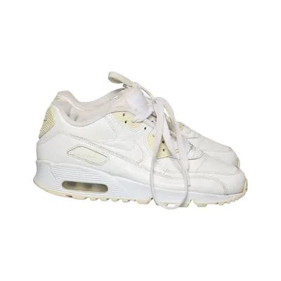 Træningssko (Air Max 90) fra Nike Air Max