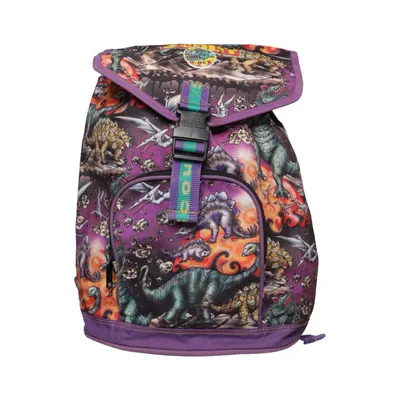 Backpack (Purple, Multicolored) from Scout
