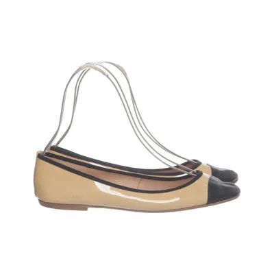 Ballerines (Beige, Noir) de Minelli