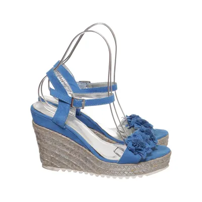 Wedges (Blue) from Anesia