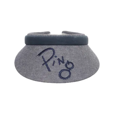 Skærm (Blå) fra Ping