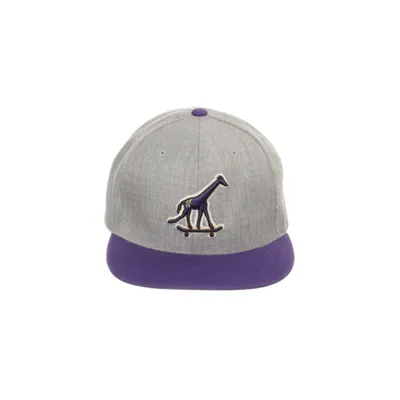 Baseball cap (Gray, Purple) from LRG Acrylic, Wool