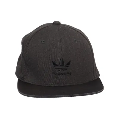 Baseball cap (Gray, Black) from Adidas Skateboarding
