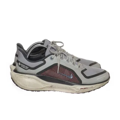 Hardloopschoenen (Pegasus 41.GTX) van Nike