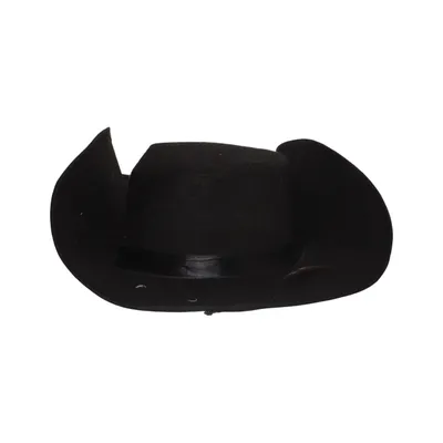 Maskeradtillbehör (Svart)