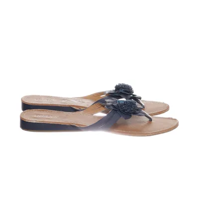 Flipflop (Brun, Blå) från Ariane